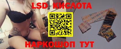 сатива Краснодар