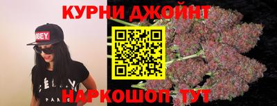 сатива Краснодар